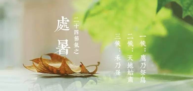 顺四时养生之处暑